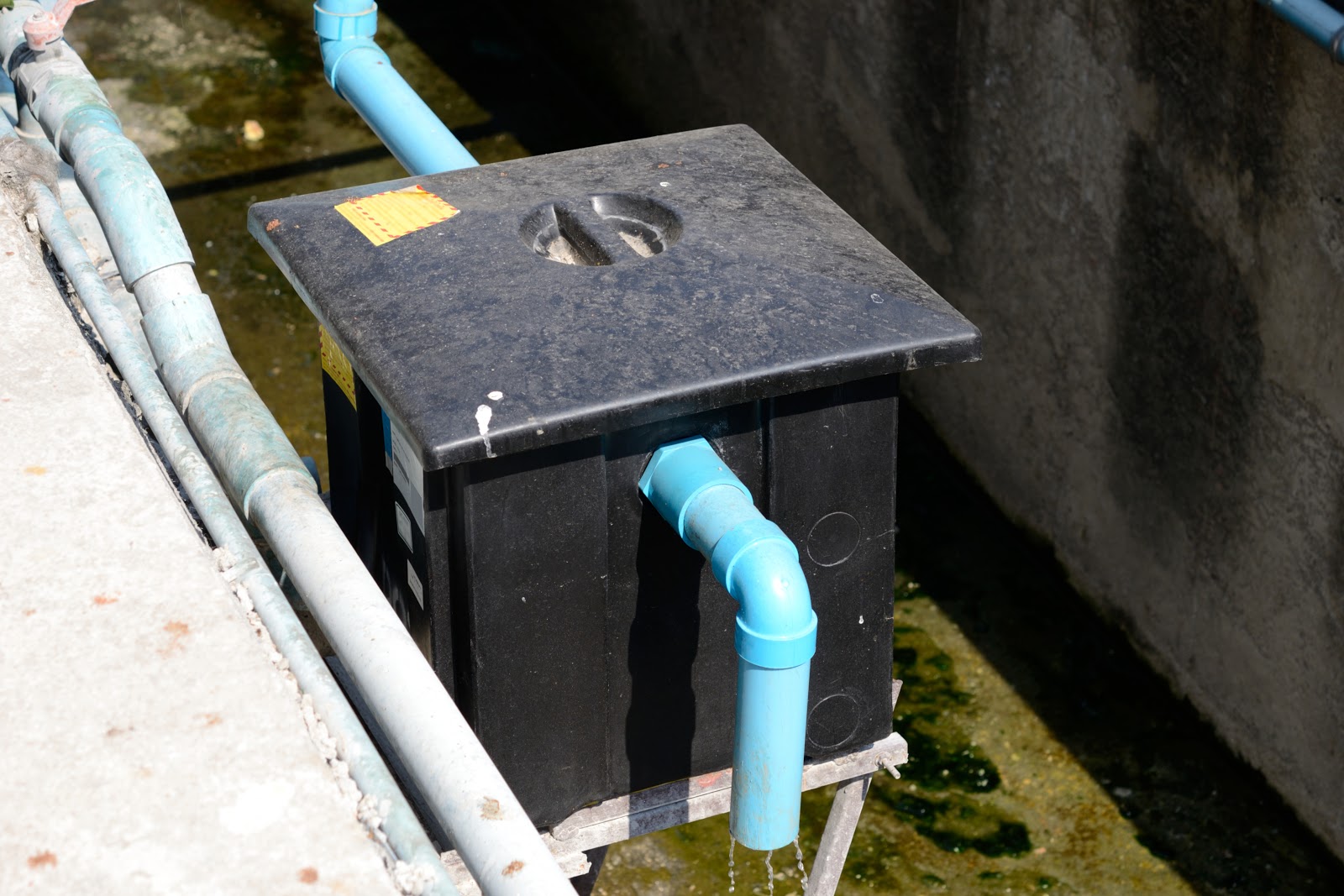 Bates_Environmental_What_Happens_If_a_Grease_Trap_Isnt_Properly_Maintained_Thumbnail.jpg